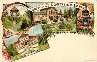 Budaörs, Loser János keserűvíz üzeme, Belvedere, forrás, villa. Olasz nyelvű szecessziós reklám / Sorgente di Loser János, Belvedere, Abitazione. Tedesco &amp; Foligno, Kunstanstalt Kosmos Art Nouveau, floral, litho s: Geiger R. (kopott sarkak / worn corners)