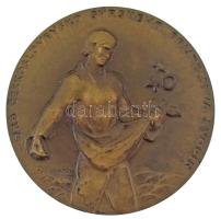 Csehszlovákia DN "Csehszlovák-Szír Barátsági Ünnepek - 40" egyoldalas bronz emlékérem. Szign.: "J. ÖERNAJ" (60mm) T:XF Czechslovakia ND "JRD Czechoslovensko Syrskeho Priatelstva Svodín - 40" one-sided bronze commemorative medallion. Sign.: "J. ÖERNAJ" (60mm) C:XF