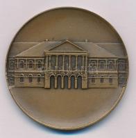 DN "Makó" kétoldalas bronz emlékérem (60mm) T:XF, karc