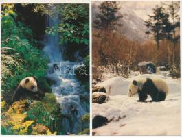 PANDÁK - 10 db MODERN megíratlan kínai képeslap / PANDAS - 10 modern unused Chinese postcards