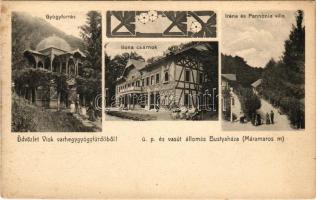 Visk, Várhegy-gyógyfürdő, Vyshkovo (Máramaros); Üdvözlet a viski várhegygyógyfürdőből. Gyógyforrás, Ilona csarnok, Irene és Pannonia villa. Riegler J. E. r.t. kiadása, szecessziós-virágos keret / spa, bath, villa, mineral water spring and well. Art Nouveau, floral (fl)