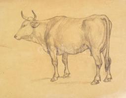 L. K. jelzéssel (Lotz Károly?): Szarvasmarha. Ceruza, papír. Szakadásokkal. 30×40 cm
