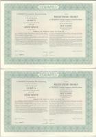 Budapest 1996. "TERIMPEX Kereskedelmi Részvénytársaság" részvénye 10.000Ft-ról (5x) sorszá...