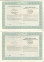 Budapest 1996. "TERIMPEX Kereskedelmi Részvénytársaság" részvénye 10.000Ft-ról (5x) sorszá...