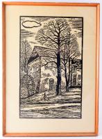 Milan Stano (1949-): Vízimalom a várban, 1988. Linómetszet, papír, jelzett, számozott (8/15). Üvegez...