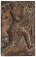 Jelzés nélkül. Béke. Vasöntvény 9x14 cm