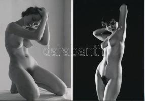 cca 1960 Műtermi aktok, szolidan erotikus felvételek, 2 db modern nagyítás, jelzés nélkül, 21x15 cm