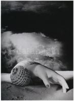 cca 1934 Dora Maár (1907-1997) francia fotóművész felvétele (Csigaház), 1 db modern nagyítás, jelzés nélkül, 21x15 cm