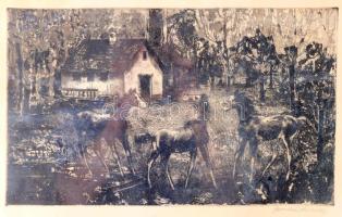 Bordás Ferenc (1911-1982): Csikók. Rézkarc, papír, jelzett, üvegezett fakeretben, lap alja foltos, 24x39,5 cm