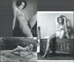 "Csalogató pozíciók", szolidan erotikus felvételek, amelyek eltérő időben készültek, 3 db modern nagyítás, jelzés nélkül, 21x15 cm és 10x15 cm