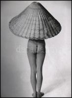 cca 1950 Glass Zoltán (1902-1982) magyar - angol fotóművész felvétele (Lámpaernyő alatt), 1 db modern nagyítás, jelzés nélkül, 21x15 cm