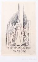 Valerio Fraschetti (1910-1977): Ex libris Ing. Gianni Mantero. Rézkarc, papír, jelzett, üvegezett fakeretben, 17,5x11,5 cm