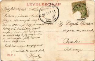 1906 Nagykőrös, Fő tér, Városi szállod. W. L. 275. (gyűrődések / creases)