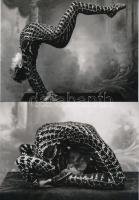 cca 1947 "Alberto cirkuszi mutatványai", 2 db modern nagyítás, jelzés nélkül, 15x21 cm