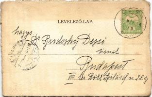 1905 Hölgyek, egyedi kézzel rajzolt, szignózott művészlap / Ladies, hand-drawn art postcard, with si...