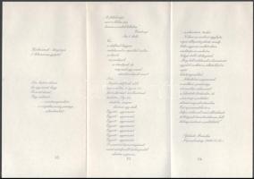 Pál-Tamás Balázs: A ,,harmadik út" avagy a kör filozófiája, a planetáris tudat ideológiája. A s...