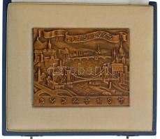 Madarassy Walter (1909-1994) 1973. "Budapest 1873-1973" egyoldalas, öntött bronz plakett dísztokban (78x101mm) T:UNC