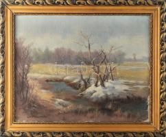 Olvashatatlan (Steiner?) jelzéssel, magyar festő, XX. sz. elsőfele-közepe: Téli táj. Olaj, vászon, dekoratív fakeretben, 42×53 cm.