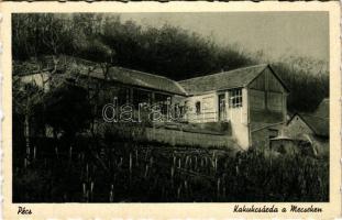 Pécs, Kakukcsárda a Mecseken