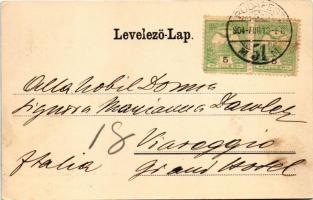 1904 Budapest, látkép a királyi palotától nézve, Lánchíd, Bazilika. Ganz Antal No. 100. (EK)