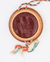 1936 Államtudományi diploma. dr. Ernőházy Lajos részére Kérész Zoltán tudósok aláírásával, függő via...