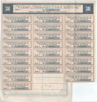 Románia / Arad-Brad 1928. "Aradi-Bradi Ipari Részvénytársaság" részvénye 100L-ről bélyegzé...