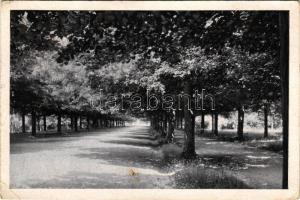 1943 Gödöllő, Erzsébet királyné park. Kalántai Foto felvétele. Storcz B. Mátyás kiadása (EK)