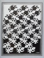 Leben und Werk M. C. Escher. Mit dem Gesamtverzeichnis des Graphischen Werks. Eltville Am Rhein, 198...