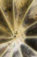 Ezüst (Ag) hólyagos tálka 3 gömb lábon, jelzett, d: 15,5 cm, nettó 140g