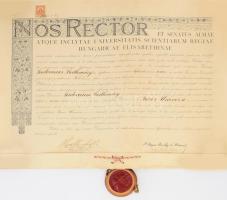 1934 Jogi diploma pilismaróti Bozóky Géza jogász, egyetemi tanár és Mansfeld Géza orvos, fiziológus, bakteriológus, farmakológus, egyetemi tanár és akadémikus aláírásaival. függő viaszpecséttel.