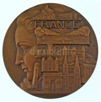 Franciaország 1977. "France" kétoldalas bronz plakett, előoldalán ismert francia épületek és helyszínek ábrázolásával, hátoldalán Franciaország stilizált térképe. Szign.: P. Turin (80mm) T:AU France 1977. "France" double-sided bronze plaque, with the depiction of well known French buildings and locations on the obverse and the stylized map of France on the reverse. Sign.: P. Turin (80mm) C:AU