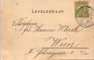 1905 Diósgyőr (Miskolc), Hámor, tó részlet, új út az alagúttal, út a tóhoz. Lővy József fia kiadása....