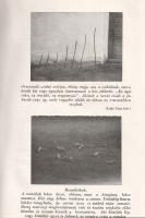 Luby Margit, benedekfalvi: 
Bábalelte babona.
Budapest, [1943]. Magyar Könyvkiadó (Arany János Iro...