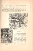 Hankó Vilmos:
Székelyföld. A képeket rajzolták: Goró Lajos, Huszka József és Tull Ödön. 115 eredeti...