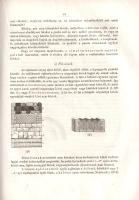 Rómer Flóris - Henszlmann Imre: 
Műrégészeti kalauz, különös tekintettel Magyarországra. Őskori műr...