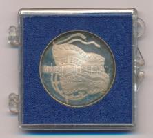 Csúcs Viktória (1934-) DN "Petőfi Sándor" ezüstözött emlékérem eredeti ÁPV plasztiktokban ...