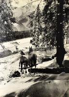 Zima v slovenskych horách (Tél a szlovák hegyekben). Fekete-fehér képeskönyv szlovák szöveggel, oros...