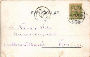 1905 Pápa, M. kir. állami tanítóképezde, Gróf Esterházy kastély, Fő utca, üzletek. Gregor Fischer ki...