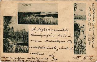 1902 Pusztavacs, Puszta-Vacs; úsztató, nádas. Art Nouveau (Rb)