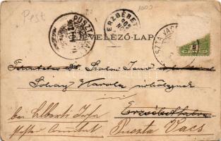 1902 Pusztavacs, Puszta-Vacs; úsztató, nádas. Art Nouveau (Rb)