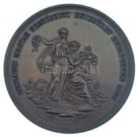 Heinrich Jauner (1833-1912) 1895. "Országos Magyar Kertészeti Egyesület Budapesten 1895" kétoldalas bronz emlékérem, eredeti külső oldalán "Országos Magyar Kertészeti Egyesület Budapesten" feliratos, belső oldalán pedig "Jauner K.K. Kammer Graveur Wien Augustiner Str. 17" jelzésű gyártói tokban, hátoldalán gravírozva (42mm) T:UNC,AU