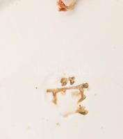 cca 1910 Wilhelmsburg kakasmintás falitál, jelzett, kopással, d: 23 cm