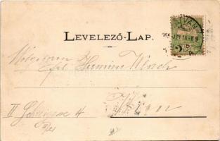 1905 Hatvan, Cukorgyári igazgatósági épület, Cukorgyár és cukorgyári kastély. Hoffmann M. L. kiadása...