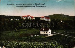 Budakeszi, Erzsébet szanatórium és Jánoshegy (r)