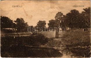 Csegöld, utca részlet (szakadás / tear)