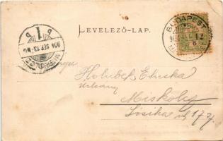 1904 Budapest XIII. Margitsziget, vízesés és gyógyforrás. Ganz Antal 104. (EB)