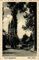 1950 Parád-gyógyfürdő, Erdei sétány. Fotó Horányi Irén