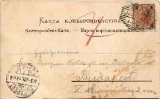 1903 Yaremche, Jaremcze, Jaremce; Wodospad Prutu / Pruthwasserfall / waterfall (fl)