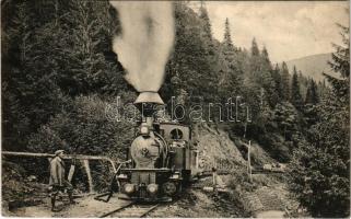 1913 Nadvirna, Nadwirna, Nadwórna; Z kolejki Nadwórna-Rafajlowa Zimny zwór / railwa yline, locomotive (EB)