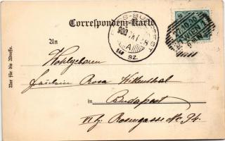 1900 Mödling, Hyrtl n. ö. Waisenanstalt. Lichtsdruck v. Weingartshofer / oprhanage (EK)